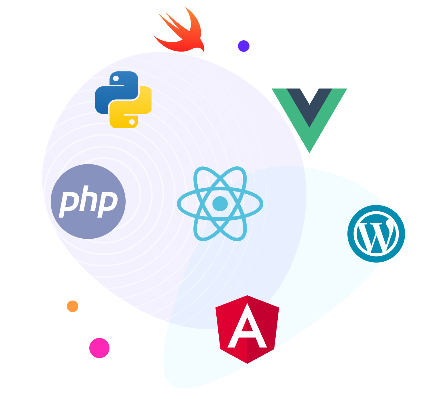 Spider Web Solutions Development | The Best E-Commerce Solutions
